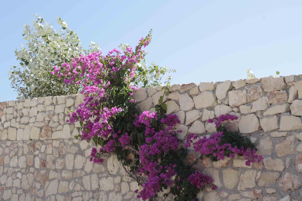 Villa Crete View Marathi  Camera foto